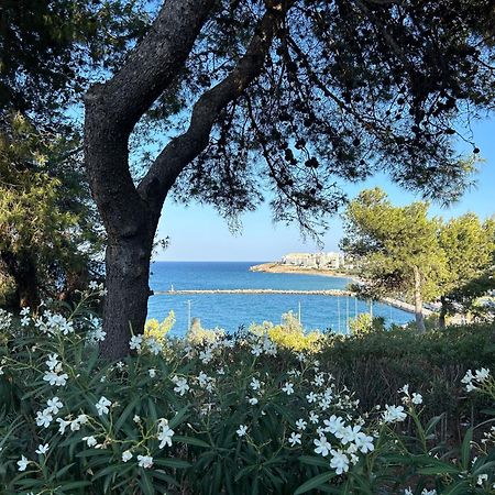 Stella'S Petite Boite Daire Rafína Dış mekan fotoğraf