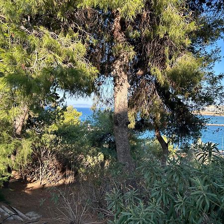 Stella'S Petite Boite Daire Rafína Dış mekan fotoğraf