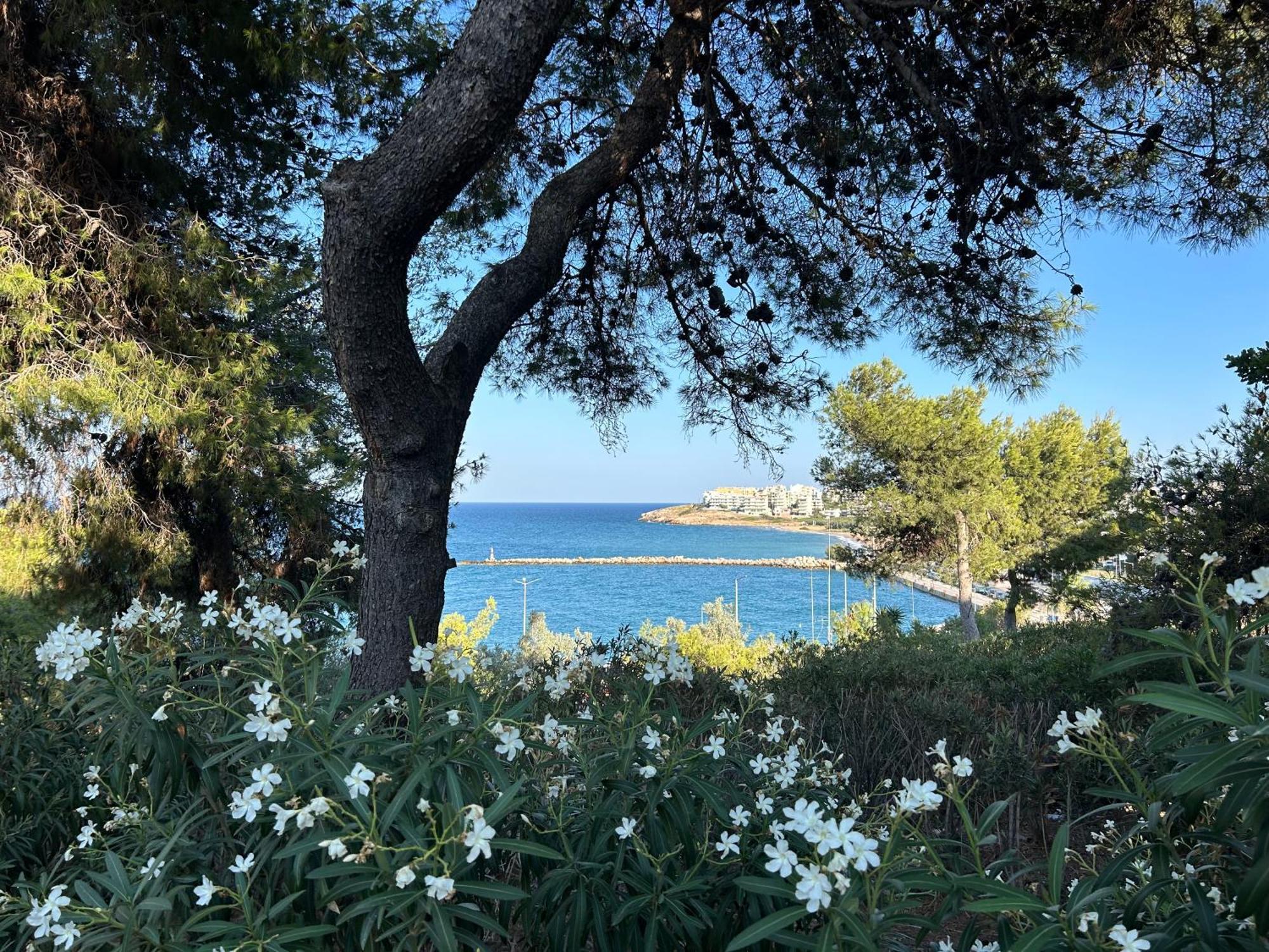 Stella'S Petite Boite Daire Rafína Dış mekan fotoğraf