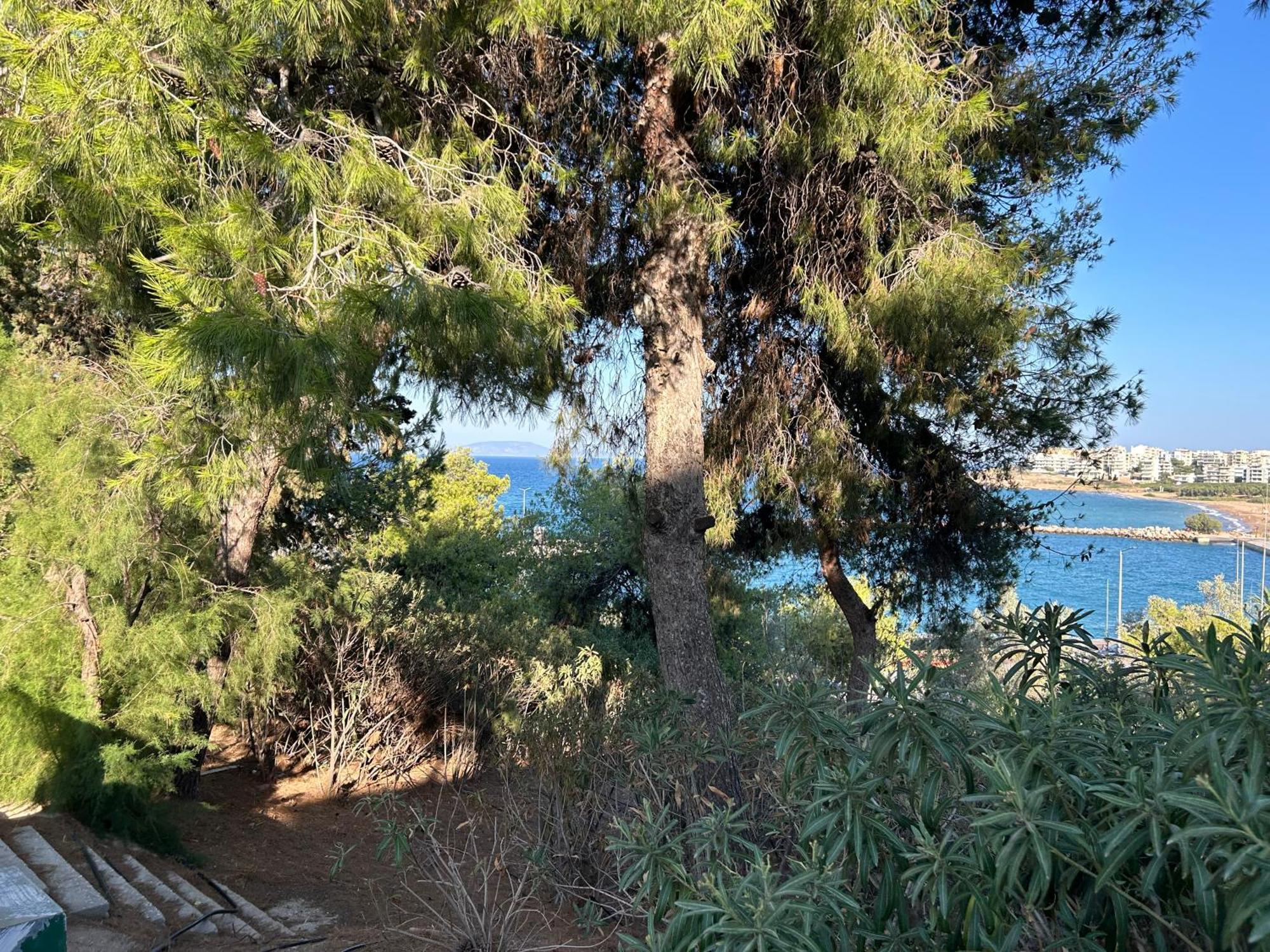 Stella'S Petite Boite Daire Rafína Dış mekan fotoğraf