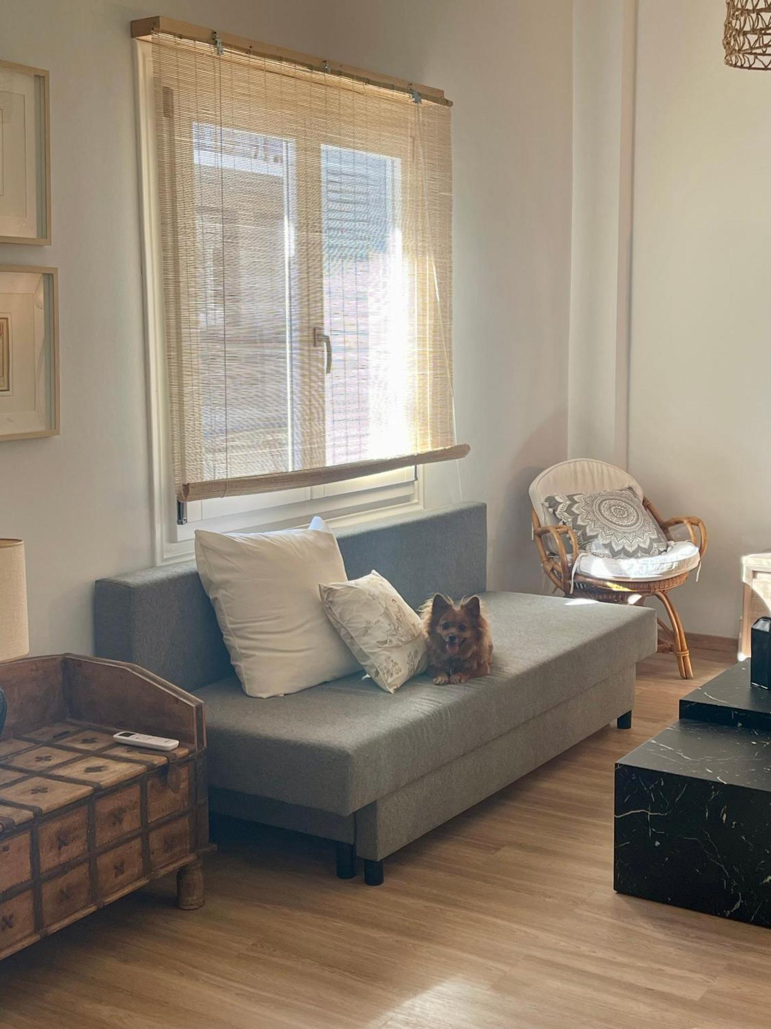 Stella'S Petite Boite Daire Rafína Dış mekan fotoğraf